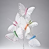 White & Pastel Butterfly Decorations
