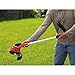 BLACK+DECKER LST220 20V Lithium Ion Cordless GrassHog Trimmer/Edger, 12
