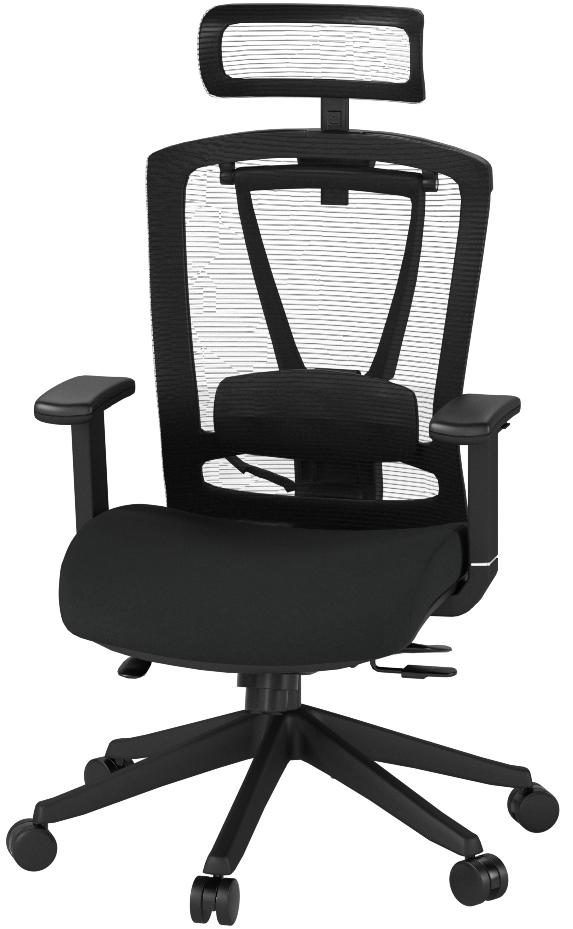 Autonomous Ergo Chair 2 Premium Ergonomischer Burostuhl 7 Fach Verstellbarer Winkel Schwarz Amazon De Kuche Haushalt Wohnen