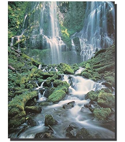 Eurographics 2400-3846 Forest Path, Poster by Eurographics 24 x 36