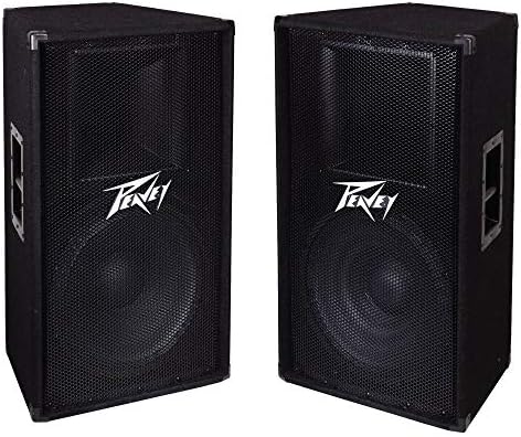 Peavey PV 115 2-Way 15\