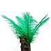 10pcs Home Decor Dark Green Ostrich Feathers