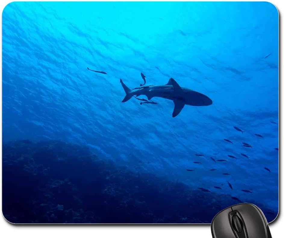 Mouse Pad - Shark Great Barrier Reef Underwater Reef Sea Fish