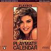 Playboy Video Playmate Calendar 1993
