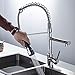 Fapully Modern High Spring Single Handle Single Hole Kitchen Sink Faucet with Pull Down Sprayer Mixer Tap,Chrome