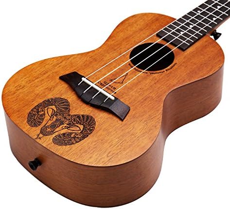 Eastun 12 Constellation Concert Ukulele 23Inch Mahogany Beginner Kit (Wipe cloth Nylon String Tuner Gig Bag Straps Picks) (Capricorn)