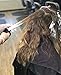 Brand New! BALAYROO HAIR COLOR APPLICATOR- Takes the Place of Brushes and Foils! BALAYAGE IN HALF THE TIME!!