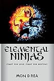 Elemental Ninjas