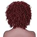 AISI HAIR Synthetic Afro Curly Hair Wigs Full Red Wig Short Curly Wigs for Women Kinky Curly(red)