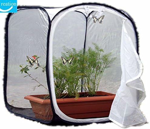 Butterfly Cage/terrarium Pop-up (12 x 12 x 12 inches)