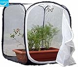 Butterfly Cage/terrarium Pop-up (12 x 12 x 12 inches)