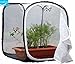 Butterfly Cage/terrarium Pop-up (12 x 12 x 12 inches)