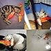 KTCLCATF Coolfm Catnip Toys Fish Cat Toy Catnip Toys Simulation Plush Fish Shape Doll Interactive Pets Pillow Chew Bite Supplies for Cat/Kitty/Kitten
