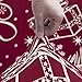 Mecerock Chair Covers for Dining Room Stretch Dining Room Chair Covers Removable Washable Dining Chair Slipcovers Christmas Parsons Kitchen Chair Covers（Set of 6，SDLW）