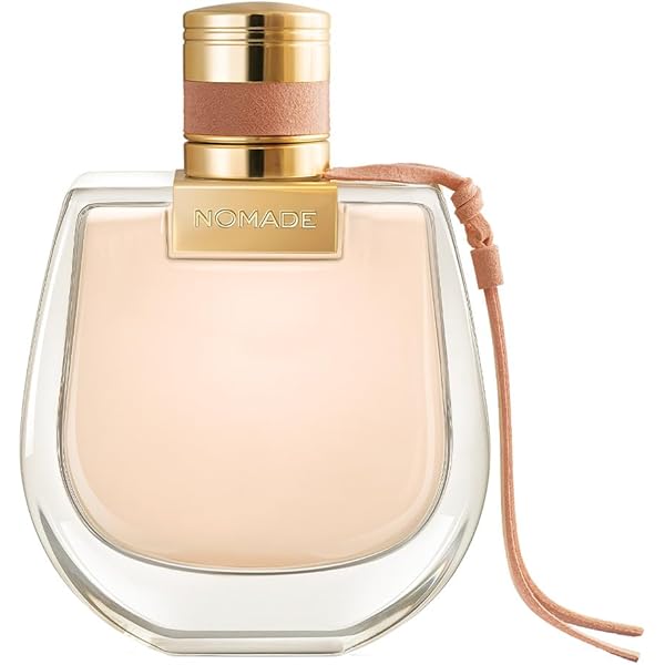 Amazon.com : CHLOE NOMADE/CHLOE 2 PC.TRAVEL EDITION SET (W