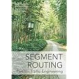 Segment Routing Part II: Traffic Engineering
