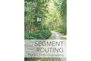Segment Routing Part II: Traffic Engineering
