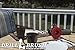 Outdoor Cleaning Supplies - Deck Brush - Granite Cleaner - Bird Bath - Fountain Scrub Brush - Garden Statues - Headstone Restoration - Garage Cleaning - Patio - Outdoor Furniture
