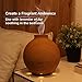 Paxamo 600ml Ultrasonic Oil Diffuser, High Capacity Globe Diffuser, Premium Therapy Air Freshener, Working Overnight for Large Room