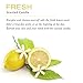 Natural Scented Candle with Organic Oil, Aromatheraphy Candle with Pure Essential Oil, Smokeless Candle, Huge Size Scented Candle (9oz/250g). (Lemon)