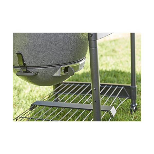 Char-Griller-E6520-AKORN-Kamado-Cart-Charcoal-Grill-22-Ash