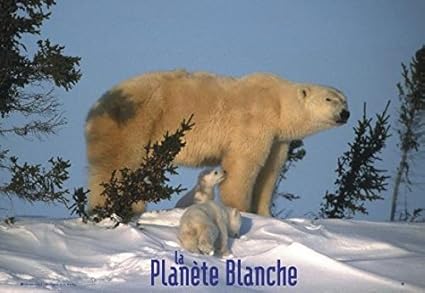 Amazoncom Close Up White Planet Poster La Planète Blanche - 
