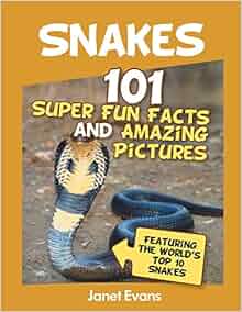 Snakes 101 Super Fun Facts And Amazing Pictures