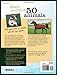 Draw and Paint 50 Animals: Dogs, Cats, Birds, Horses and More