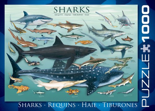 EuroGraphics Sharks 1000 Piece Puzzle