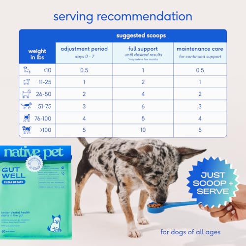 Native Pet GutWell Clean Breath - Dog Breath Freshener & Dog Teeth Cleaning Powder Cold-Pressed to Reduce Plaque, Tartar & Promote Oral Health with Triple-Biotic Blend, Brown Algae & Zinc - 60 Scoops