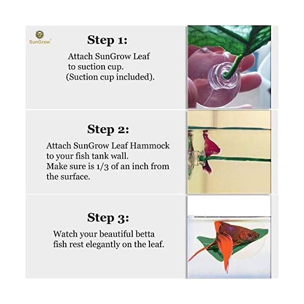 HAODEE Piante Acquario Piante Acquario Artificiali Decorazioni e Accessori per acquari Piante Artificiali per acquari…