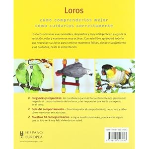 Loros/ Parrots: Sanos y felices/ Healthy and Happy (Mascotas en casa/ Pets at Home) (Spanish Edition)