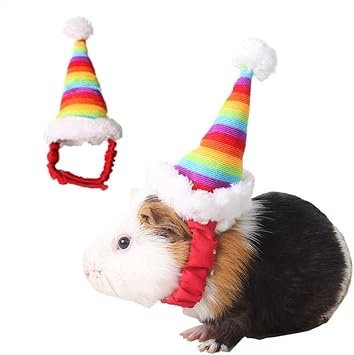 Amazon Omem クリスマスレインボー帽子 猫犬のヘアアクセサリー 新年 誕生日 オランダ豚 ハムスター ペット用品 Omem 小動物 通販