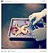 Stainless Steel Dissecting Tray with Wax and 10 Free 38mm Dissection Pins and Now Includes 2#11 and 2#21 Blades