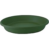 The HC Companies Flower Pot Saucers - Plastic Plant Saucer for Outdoors & Indoors - Traditional Design Plant Pot Trays for Water Drainage - Durable & Stylish Round Plant Tray (14-inch Evergreen)