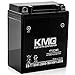 Battery Compatible with Yamaha 1987-2003 YFM350X Warrior YT12C Sealed Maintenance Free Battery 12V Powersport Motorcycle Scooter ATV