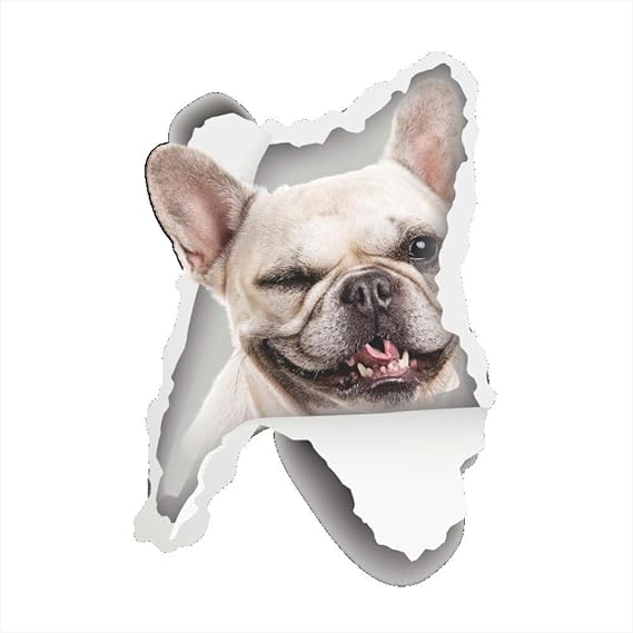 Katze/Hund 3D Badezimmer Wandaufkleber Wc Dekoration Wasserdichte