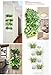 Vertical Garden Planter 16 Total Pockets in This Set Wall Hanging Planter Bags Flower Growing Container for Balcony Patio Courtyard and Backyard,Whitethumb 2