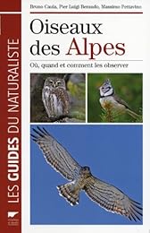 Oiseaux des Alpes