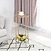 YYFANG Plant Flower Stand Mini Side Table Floor-Standing Easy to Move Metal Simple Modern Living Room, 4 Colors (Color : Gold, Size : 32x32x70cm)thumb 2