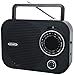 Jensen MR-550 Portable AM/FM Radio with Aux Line-In