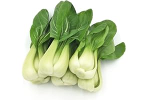 Sow in Fall/Spring. HipGirl Baby Bok Choy Seeds for Sprouting,Cabbage Seeds for Planting,Microgreen Seed Planting for Home Vegetable Garden-Pak Choi Shanghai(上海青江菜) 2g 700ct
