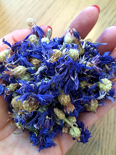 Organic Bio Herbs-Organic Dried Bluebottle/cornflower (Centaurea Cianus) 2 Oz.