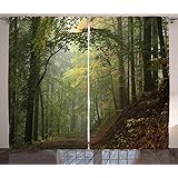 Ambesonne Forest Curtains, Misty Autumn Forest with Shaded Trees Foggy Dreamy Woodland Scene, Living Room Bedroom Window Drapes 2 Panel Set, 108 W X 96 L Inches, Olive and Reseda Green Brown