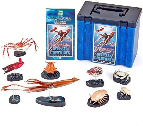 Karorata Three-dimensional picture book real figure box deep-sea organisms premium box eight eight