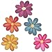 Flower Power Decorative car Magnet Set