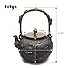 Sotya Cast Iron Teapot, Tetsubin Japanese Tea Kettle (1300ml, Retro black)