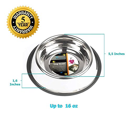 GPET-Dog-Bowl-with-Rubber-Base-Stainless-Steel-16-Ounce-Set-of-2