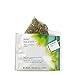 Teavana Mint Majesty Full Leaf Tea Sachets