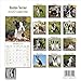 Boston Terrier Calendar 2020 - Dog Breed Calendar - Wall Calendar 2019-2020